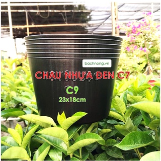 Chậu nhựa đen C9 trồng cây, ươm cây, và trồng kiểng