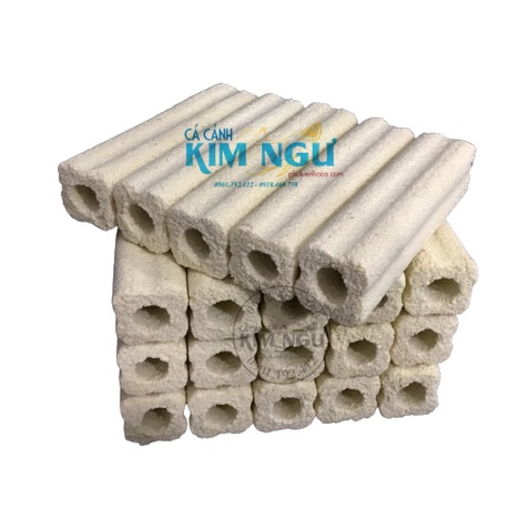 Combo 20 Cây Sứ Thanh Vàng Lọc Nước Hồ Cá 15*3.5*3.5cm