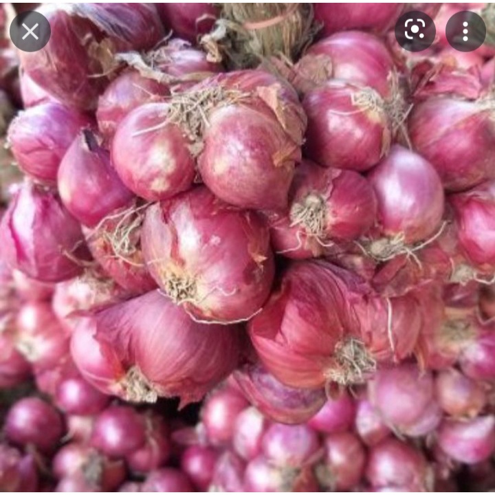 1KG Hành tím xứ Nghệ nhà trồng thơm ngon giá rẻ chỉ 55.000 1kg.giao nhanh khu vực TPHCM
