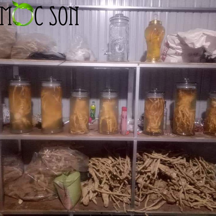 500G XÁO TAM PHÂN MỘC SƠN (HÀNG RỪNG)