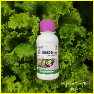 Thuốc trừ rệp sáp, rệp vảy cho cây trồng Sheba 50EW