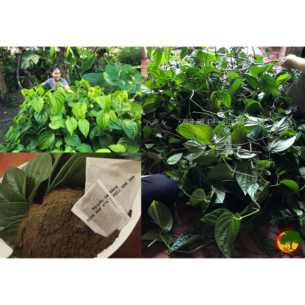 Bột Lá Trầu Túi Lọc 500gr