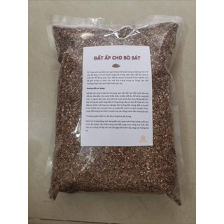 ĐẤT ẤP ĐEN CHO BÒ SÁT