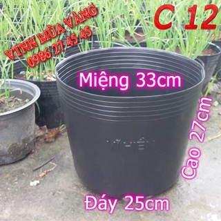 CHẬU NHỰA ĐEN C12 (C33) TRỒNG CÂY HIỆU KIM DƯƠNG (LOẠI TỐT)