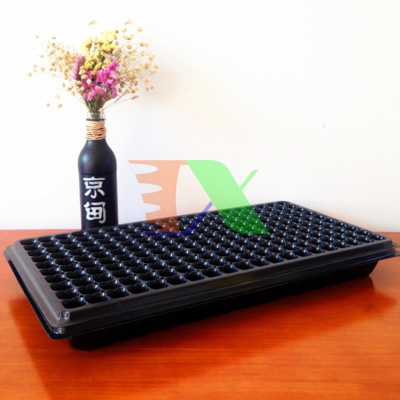 Hộp 150 khay ươm cây (Dày 1mm, nặng 120g), khay ươm hạt, vỉ ươm rau (200 lỗ)