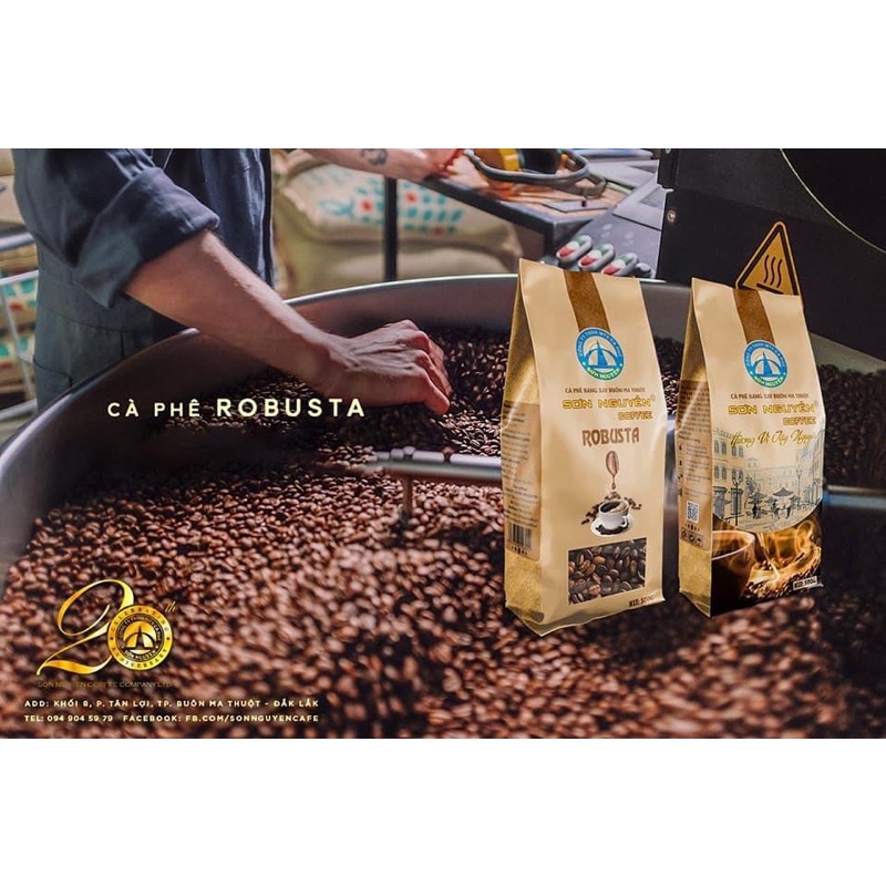 Cà phê hạt và bột Robusta - Sơn Nguyên 500g
