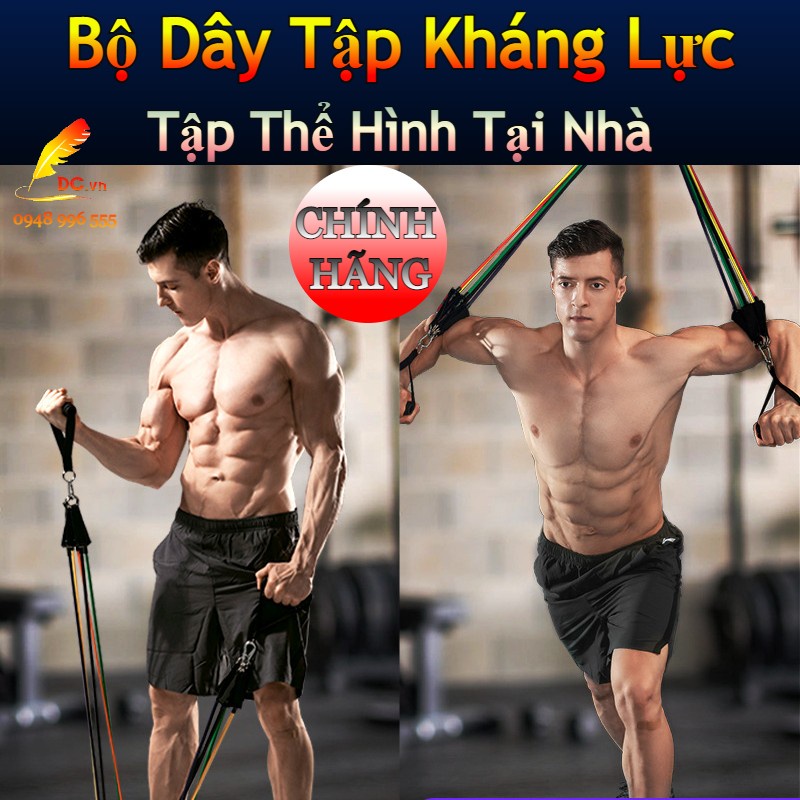 Dây Tập Gym Ngũ Sắc [LOẠI 1] Dây Kháng Lực Tập Gym Thể Hình Đa Năng Tại Nhà Chất Liệu Cao Su Cao Cấp Siêu Bền