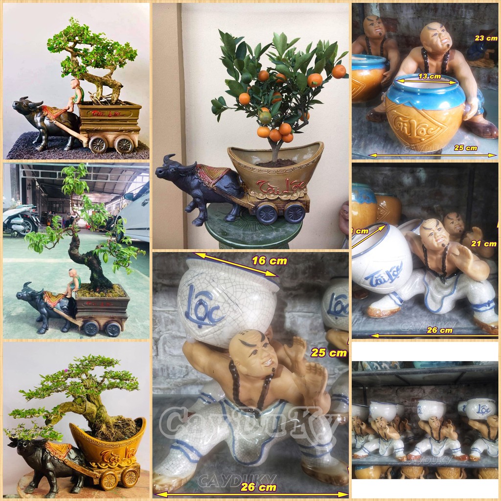 Chậu Tượng La Hán Nâng Chậu  Sứ Bát Tràng Và Tượng Con Trâu Tài Lộc Kéo Xe Làm Chậu Trồng Cây Bonsai