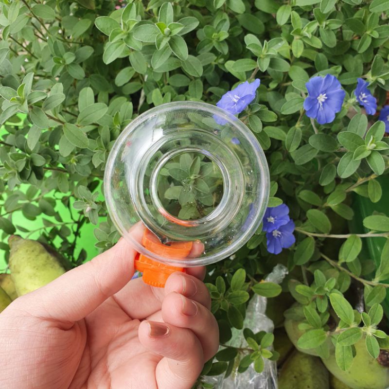 Cóng nhựa quai cam đựng thức ăn, nước uống chim cảnh dành cho mọi loại chim