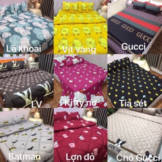 Ga gối cotton poly 4 món 1 ga chun 2 gối nằm và1 ôm