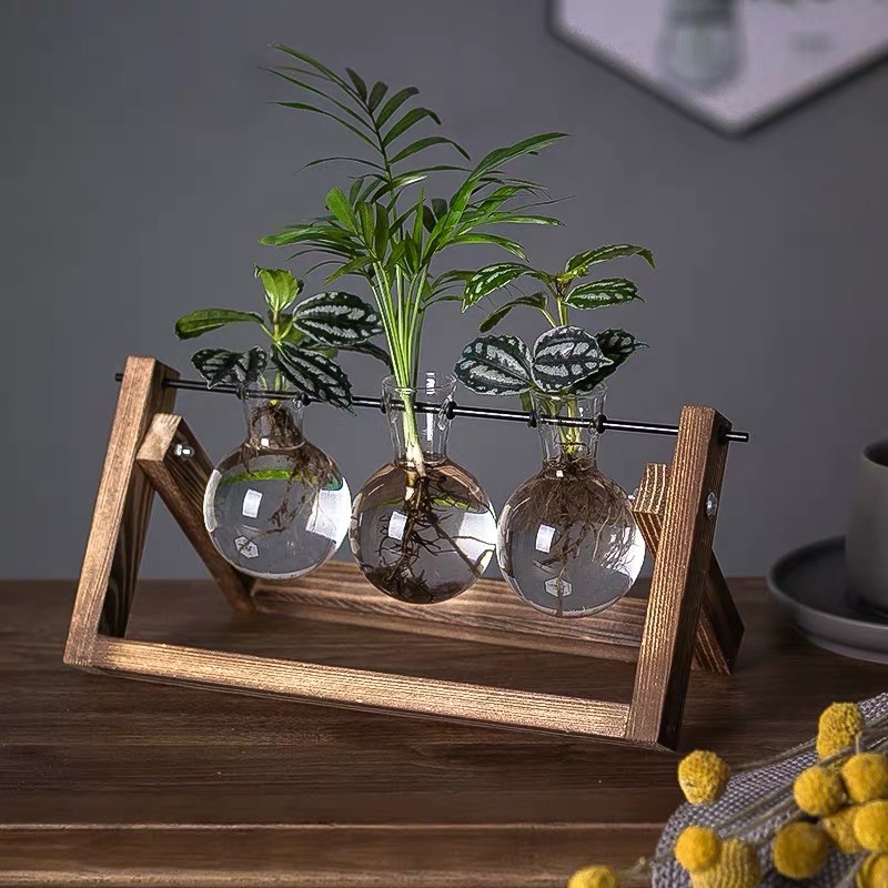 Giá trồng cây thủy sinh để bàn , ý tưởng siêu hay ho dễ chăm sóc cây cho dân văn phòng yêu cây xanh