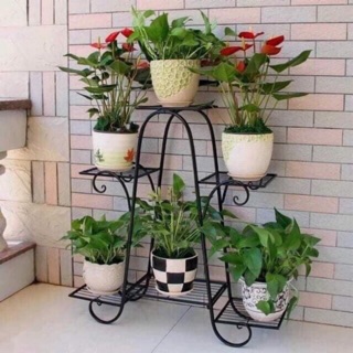 Kệ sắt 6 tầng trưng bày hoa