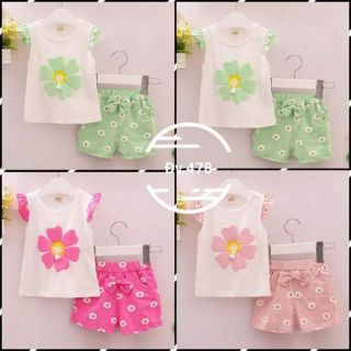 Combo 5 bộ bé gái cotton 5- 20 kg