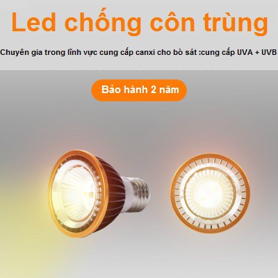 Đèn LED UVA + UVB thế hệ mới