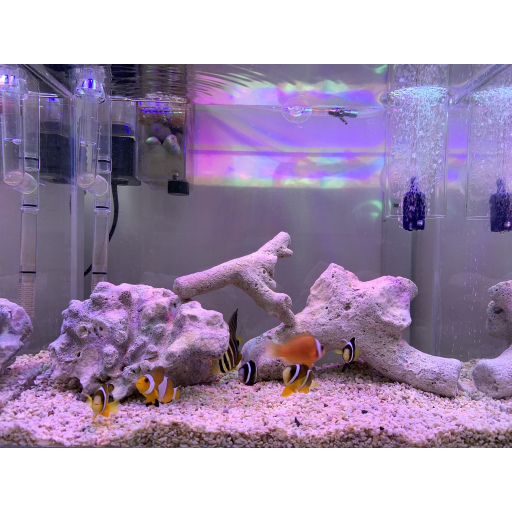 Nước biển khô AQUA SALT gói 2kg