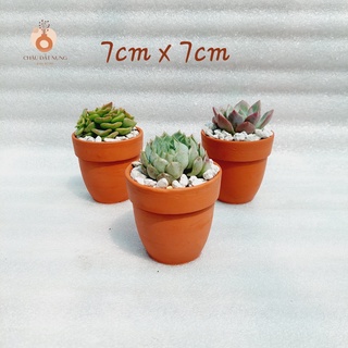 Chậu đất nung Bình Dương - Chậu ly có gờ bo đích, miệng chậu 7cm, chiều cao 7cm