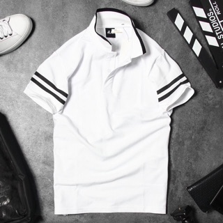 Polo HM Full tem Tag xịn