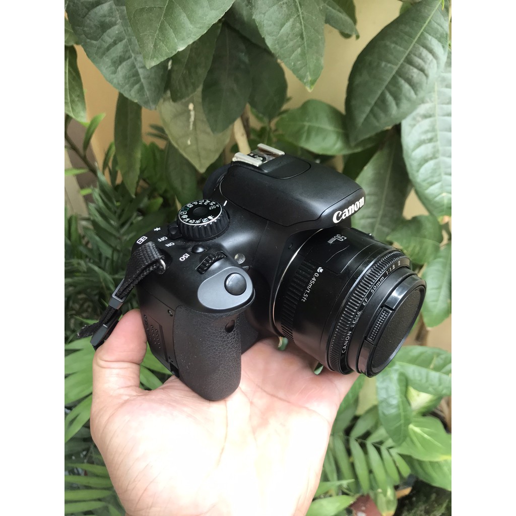 MÁy ảnh Canon 550D kèm lens chân dung 50mmii