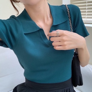 Áo polo montoghi trơn