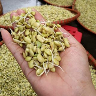 Mầm đậu nành nguyên xơ 1kg