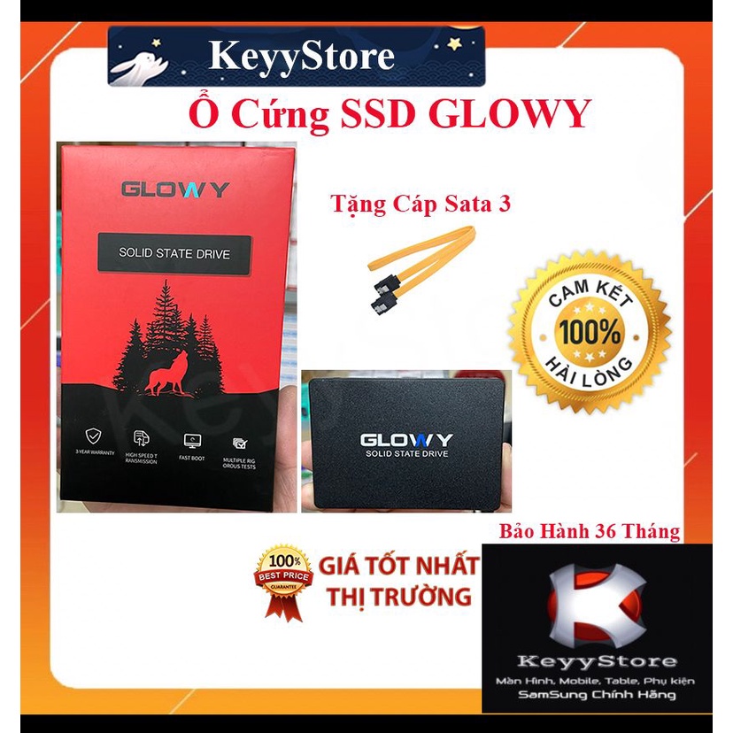 Ổ Cứng SSD Glowy 120GB 240GB Chính Hãng Bảo hành 36 Tháng Tặng cáp dữ liệu Sata 3.0 Ổ cứng SSD Sata 3 120gb Cực Hot