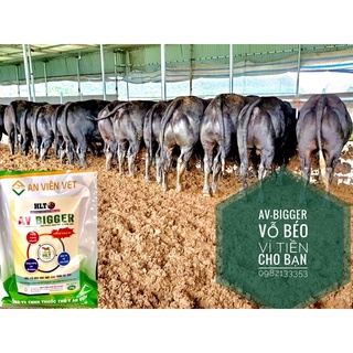 Vỗ béo trâu bò dê siêu đặc biệt