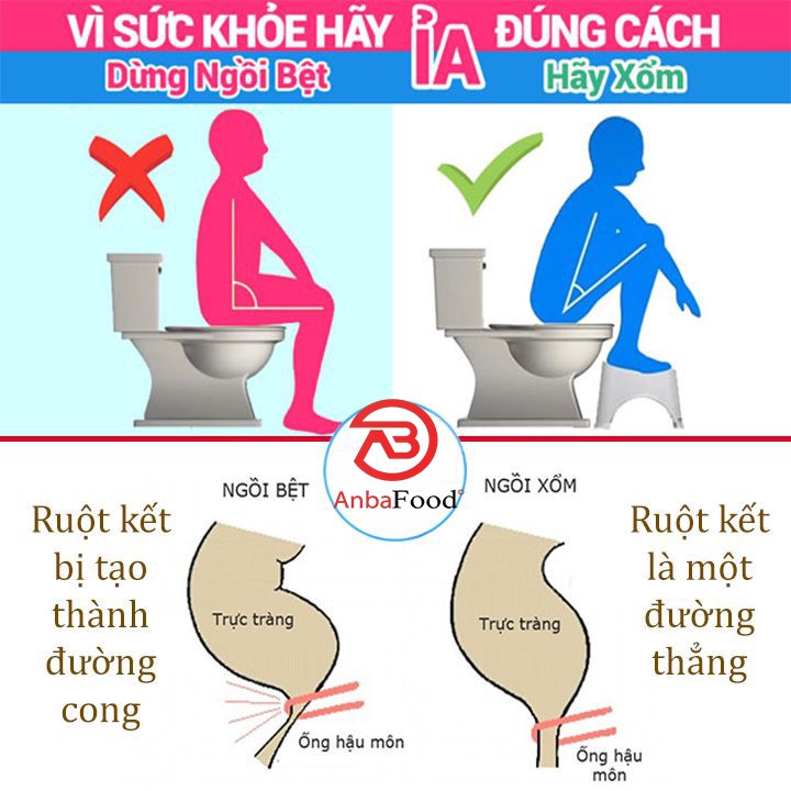 Ghế Kê Chân Toilet Việt Nhật Chống Táo Bón - Ghế kê chân bồn cầu (2136)