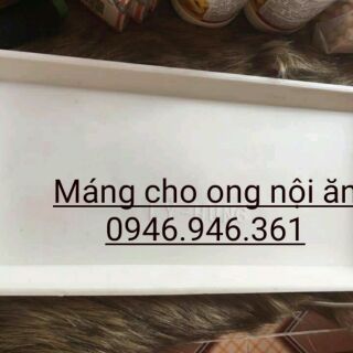 Combo 50 máng ong nội cho ong ăn