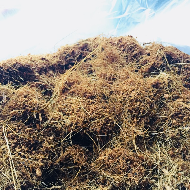 1kg mùn xơ đưa trồng cây