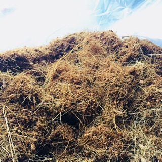 1kg mùn xơ đưa trồng cây