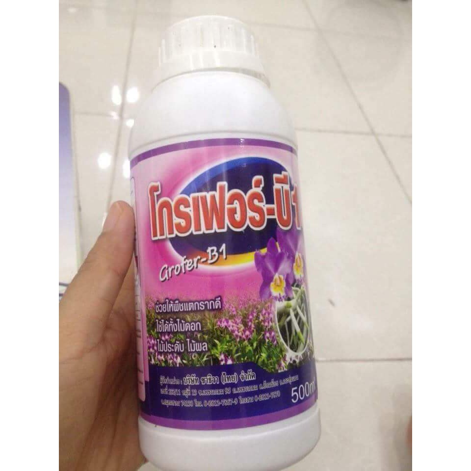 [FREESHIP TỪ 50K] ·#B1 Thai chai 500ml