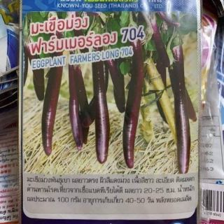 HẠT GIỐNG CÀ TÍM THÁI SIÊU DÀI F1