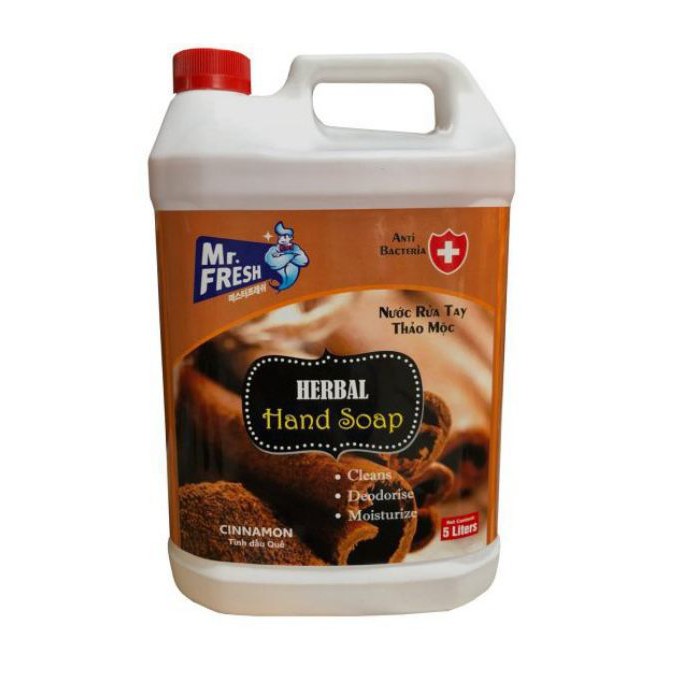 Nước Rửa Tay Premium Hand Soap Mr Fresh Hàn Quốc 5L - HVS002