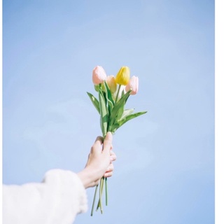 Mua Hoa Tulip Trang Trí - Hoa Giả Decor