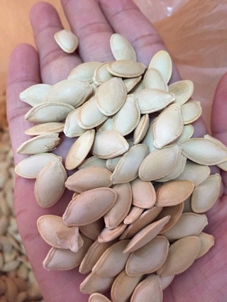 *FRESHIP 99K * HẠT BÍ RANG MUỐI 1KG