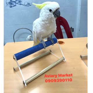 Bộ cầu đứng để bàn có mài móng