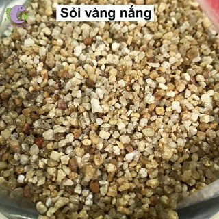 Sỏi nắng vàng trải nền hồ cá