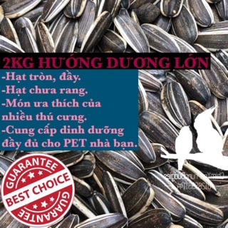 [GIÁ CỰC TỐT] 2KG HẠT HƯỚNG DƯƠNG LỚN CHƯA RANG CHO, VẸT, SÓC, HAMSTER.