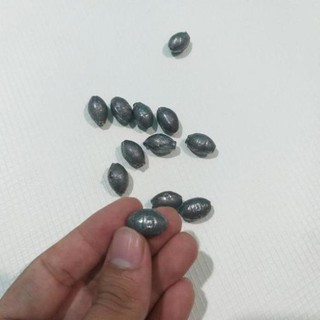 Combo 10 Viên chì câu cá tròn xuyên tâm