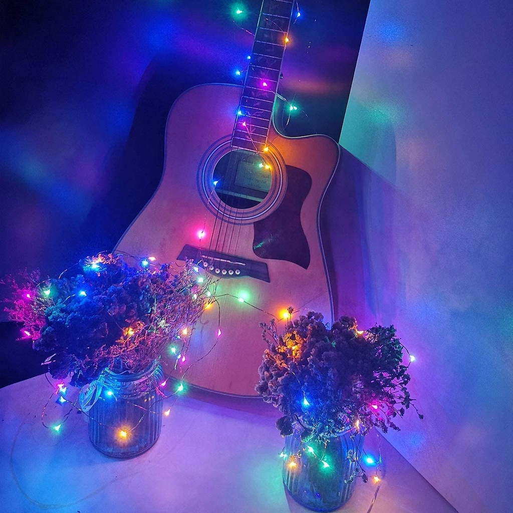 Chọn Màu-Kèm Pin AG13- Chỉnh 3 Kiểu Chớp - Đèn Led Đom Đóm Fairy Light Trang Trí Decor Quấn Cây Sân Vườn Noel Lễ Tết