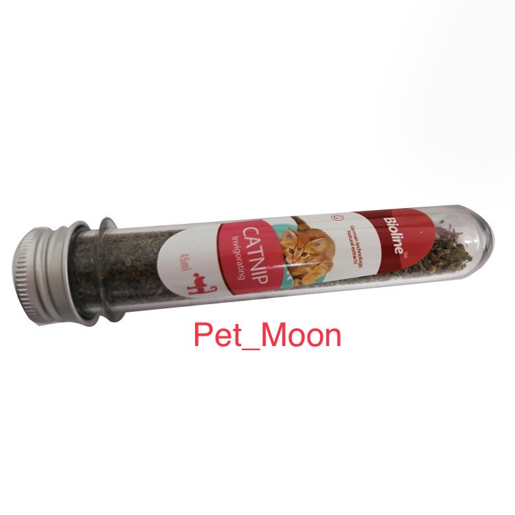 Cỏ Bạc Hà CAT MIN, thức ăn cho mèo.