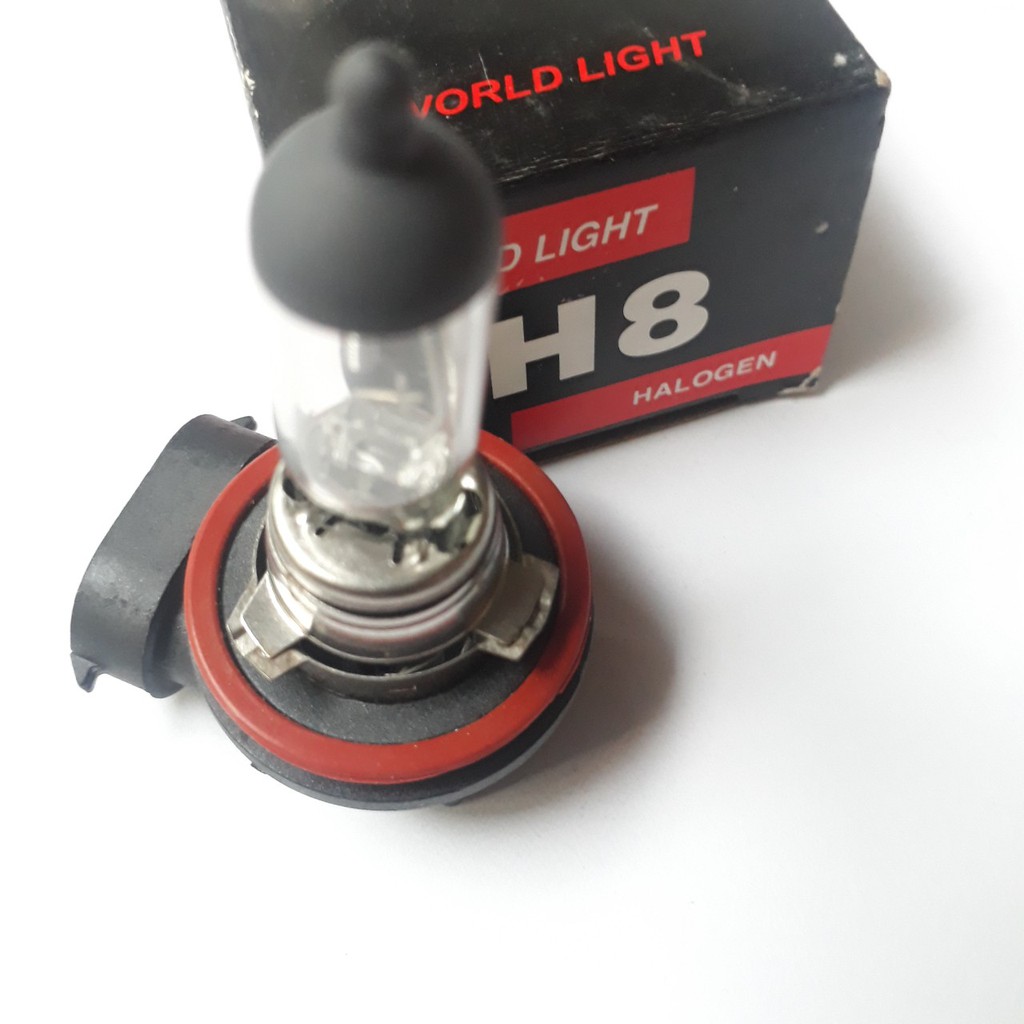 Bóng H8 12V 35W. Bóng đèn ô tô World Light. Chuyên các loại bóng đèn halogen giá sỉ