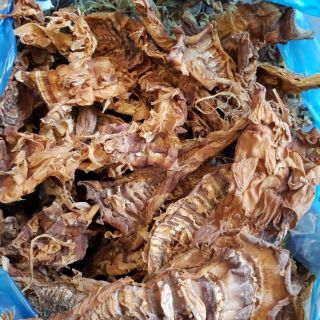 Măng, mộc nhĩ, nấm hương rừng