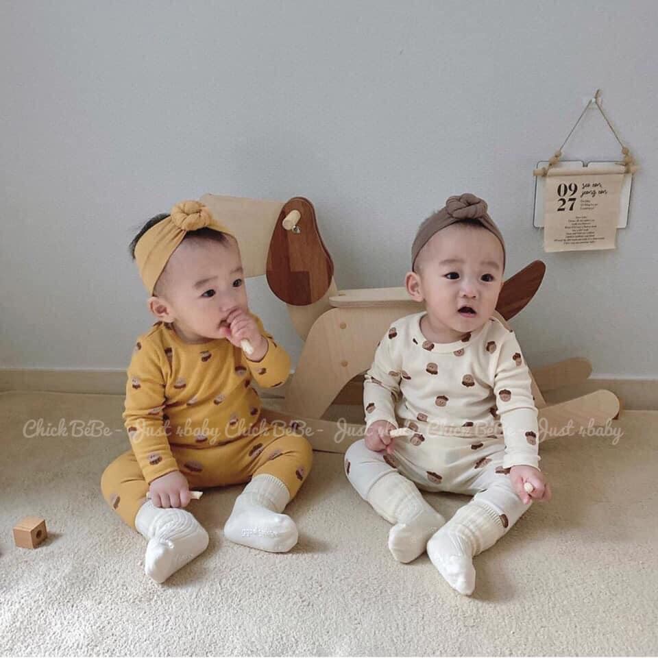 Bộ hạt dẻ cạp cao cho bé