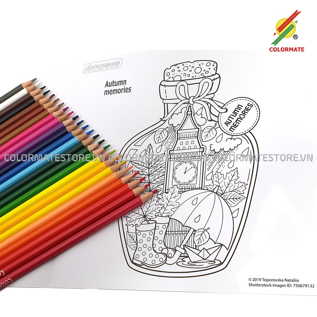 Bộ bút màu 24 cây bút chì gỗ kèm túi và tập tô màu dành cho bé - COLORMATE
