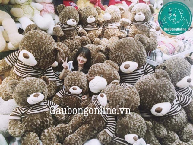 Teddy Choco VNXK 1m2