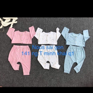 Nous bộ mây vàng