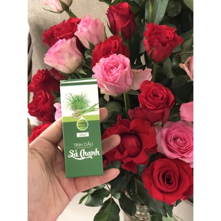 Combo 6 chai tinh dầu Sả Chanh 100ml
