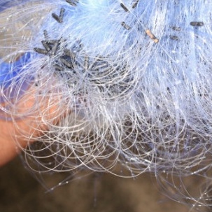 Lưới đánh cá 3 màn THÁI XANH cao 1m, ô mắt to 6 - 10 phân đánh bắt cá to