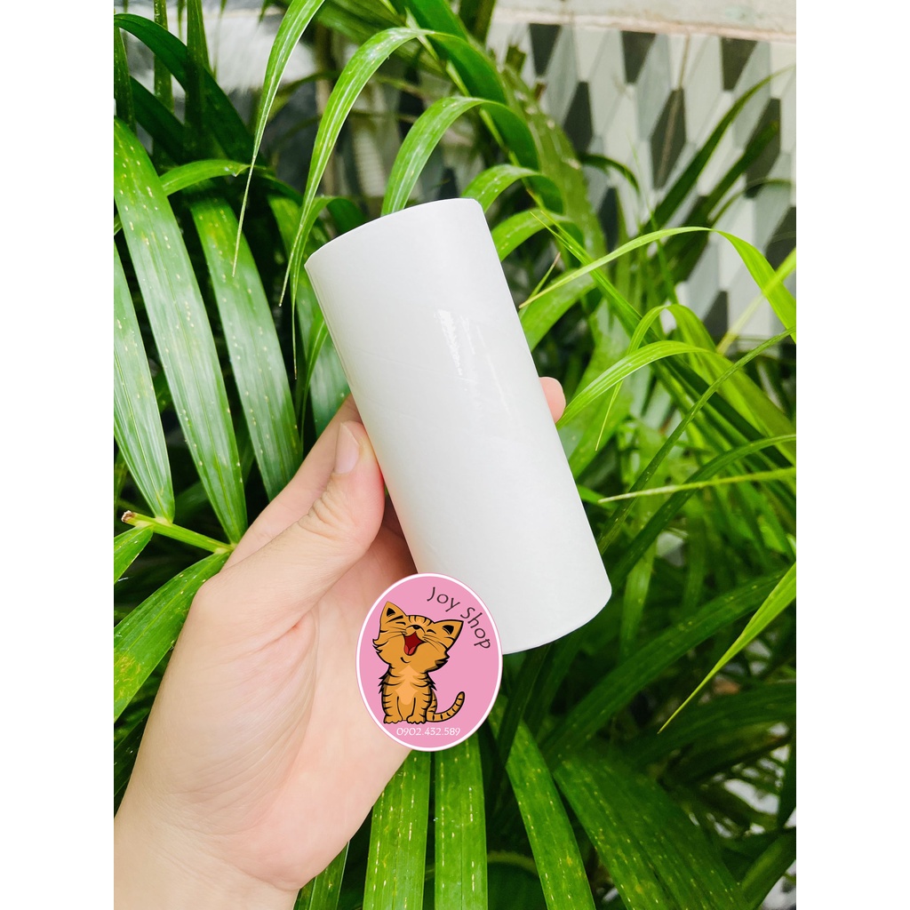 [MÀU NGẪU NHIÊN] CÂY LĂN LÔNG MÈO